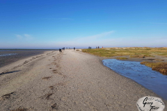 Hundestrand Norddeich Januar 2019-11