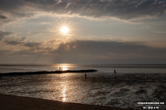 Norddeich-Hundestrand-31.8.2019-12