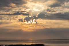 Norddeich-Hundestrand-31.8.2019-13