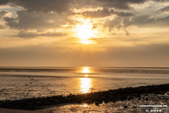 Norddeich-Hundestrand-31.8.2019-14