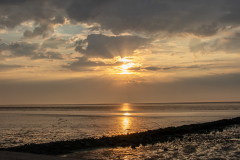 Norddeich-Hundestrand-31.8.2019-16