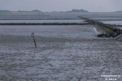 Norddeich-Hundestrand-31.8.2019-22