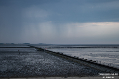 Norddeich-Hundestrand-31.8.2019-25