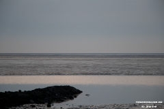 Norddeich-Hundestrand-31.8.2019-26