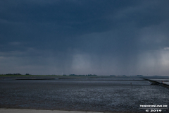 Norddeich-Hundestrand-31.8.2019-27