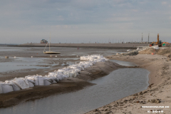 Norddeich-Hundestrand-31.8.2019-7