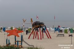 Strand-Norddeich-12.7.2022-12