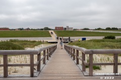 Strand-Norddeich-12.7.2022-19