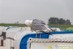 Strand-Norddeich-12.7.2022-31