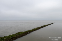 Strand-Norddeich-12.7.2022-40