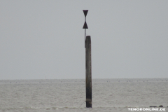 Strand Norddeich 2.3.2019-13
