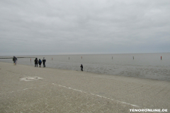 Strand Norddeich 2.3.2019-15