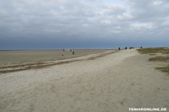 Strand Norddeich 2.3.2019-4