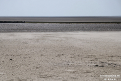 Strand-Norddeich-27.7.2019-6