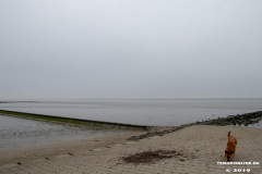 Strand-Norddeich-9.11.2019-30