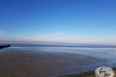 Strand Norddeich Januar 2019-13