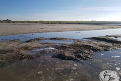 Strand Norddeich Januar 2019-15
