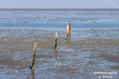 Strand-Norddeich-das-Deck-Wasserkante-Stand-Norden-Ostfriesland-10.6.2023-17