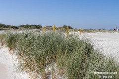 Strand-Norddeich-das-Deck-Wasserkante-Stand-Norden-Ostfriesland-10.6.2023-41