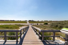 Strand-Norddeich-das-Deck-Wasserkante-Stand-Norden-Ostfriesland-Weitwinkel-10.6.2023-66