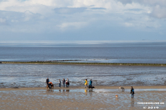 Strand-Norden-Norddeich-3.10.2019-15