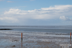 Strand-Norden-Norddeich-3.10.2019-9