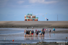 Wattwanderung-Strand-Norddeich-2.7.2019-8