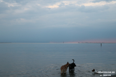 blaue-Stunde-Norddeich-Strand-30.7.2019-14