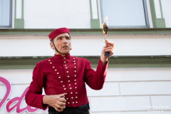 Straßenkunstfestival-Norden-2019-Schön-Stark-Osterstraße-Blume-Ideal-25.8.2019-23