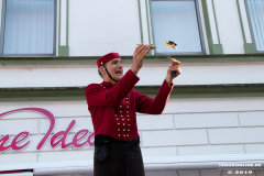Straßenkunstfestival-Norden-2019-Schön-Stark-Osterstraße-Blume-Ideal-25.8.2019-24