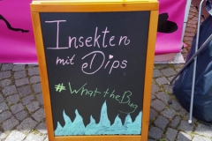 Street Food Karawane Norden 2017 (12 von 26)