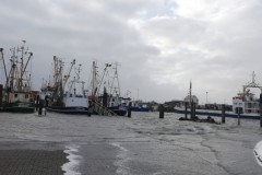 Sturmflut-Norddeich-Januar-2019-1