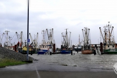 Sturmflut-Norddeich-Januar-2019-2-2
