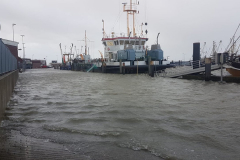 Norddeich-Ostfriesland-Sturmflut-10.2.2020-12