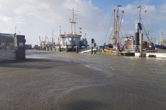 Norddeich-Ostfriesland-Sturmflut-10.2.2020-23