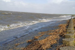 Norddeich-Ostfriesland-Sturmflut-10.2.2020-28