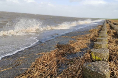 Norddeich-Ostfriesland-Sturmflut-10.2.2020-29