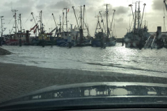 Norddeich-Ostfriesland-Sturmflut-10.2.2020-4