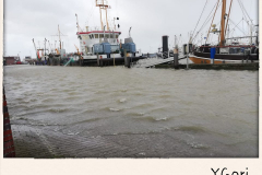 Norddeich-Ostfriesland-Sturmflut-10.2.2020-8