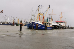 Sturmflut-Norddeich-Hafen-11.2.2020-10
