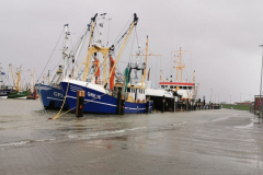 Sturmflut-Norddeich-Hafen-11.2.2020-11