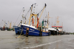 Sturmflut-Norddeich-Hafen-11.2.2020-12