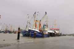 Sturmflut-Norddeich-Hafen-11.2.2020-15