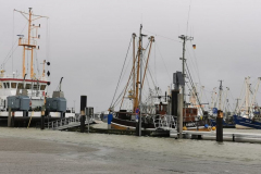 Sturmflut-Norddeich-Hafen-11.2.2020-2