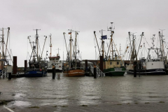 Sturmflut-Norddeich-Hafen-11.2.2020-3