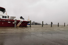 Sturmflut-Norddeich-Hafen-11.2.2020-5