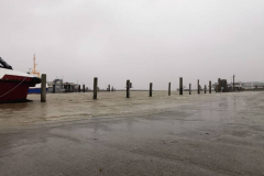 Sturmflut-Norddeich-Hafen-11.2.2020-6