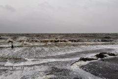 Sturmflut-Orkan-Sabine-Norddeich-Ostfriesland-11.2.2020-12