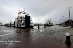 Sturmflut-Orkan-Sabine-Norddeich-Ostfriesland-11.2.2020-2