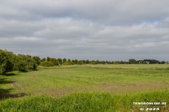 Wiese-Suedring-Gewerbegebiet-Stadt-Norden-7.6.2023-25